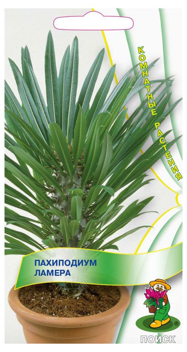 Семена Комнатных Растений Купить Новосибирск