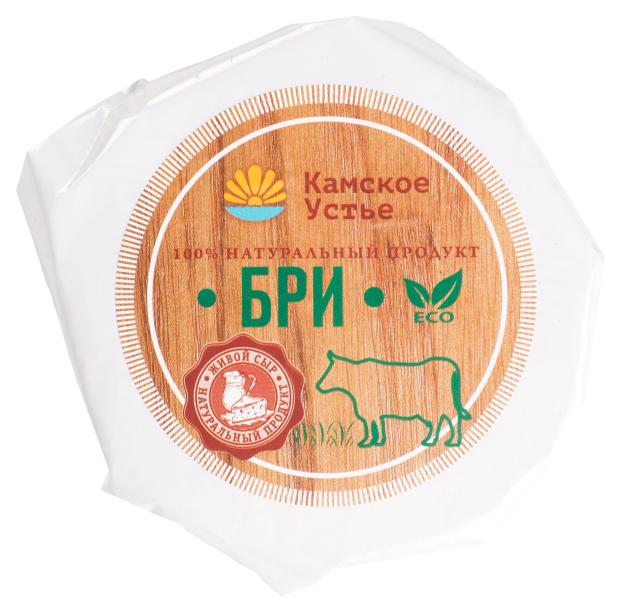 Сыр мягкий Камское Устье Бри БЗМЖ, 100 г