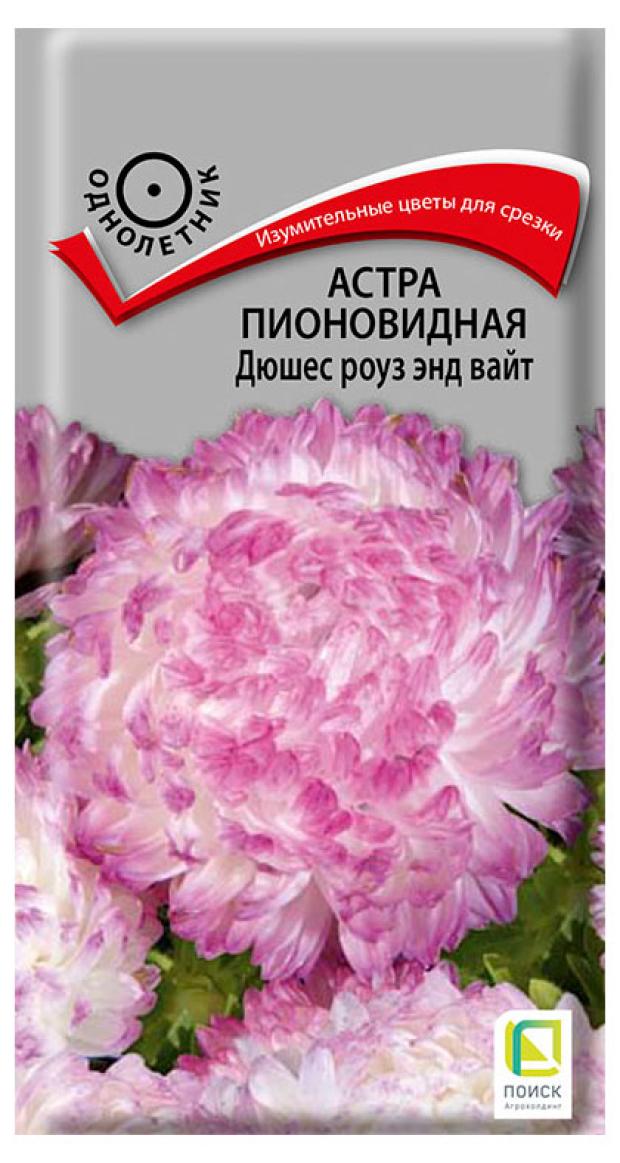 Семена Поиск Астра пионовидная Дюшес роуз энд вайт, 0,3 г аквилегия обыкновенная поиск винки дабл блу энд вайт 1шт