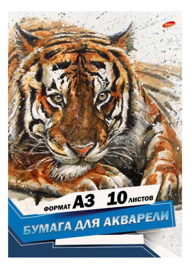 Бумага для акварели Academy Style А3, 10 л