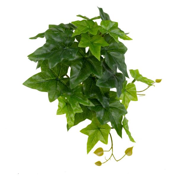 

Цветок искусственный Ветка плющ зеленый, 25 см
