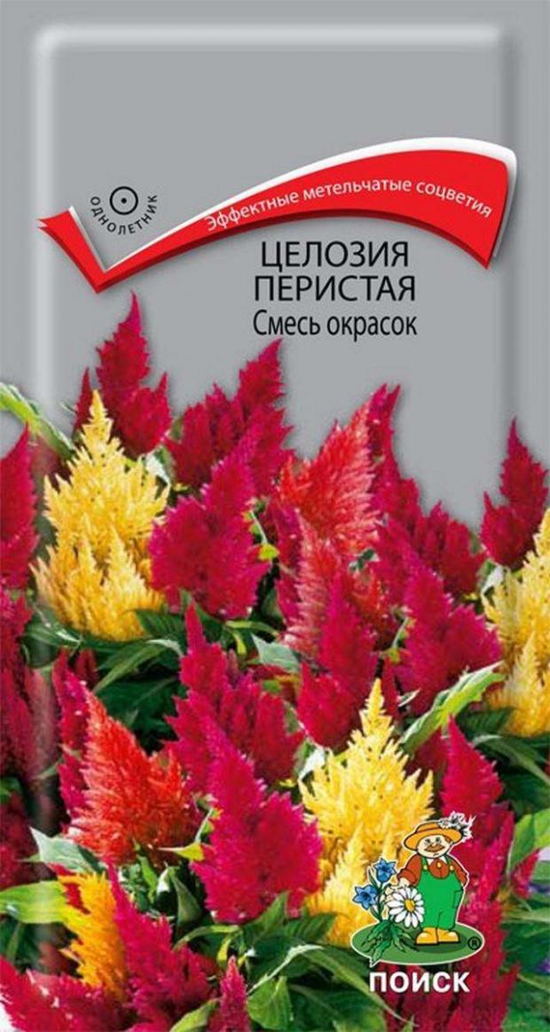 

Семена Целлозия Поиск Перистая смесь, 0,1 г