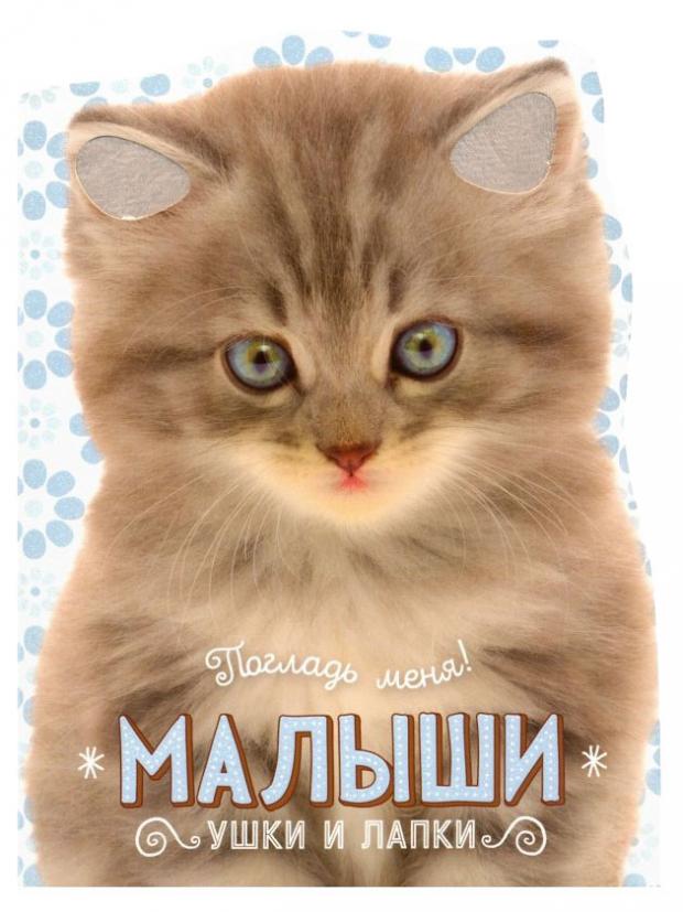 

Книга Погладь меня! Ушки и лапки. Малыши, Албул Е.