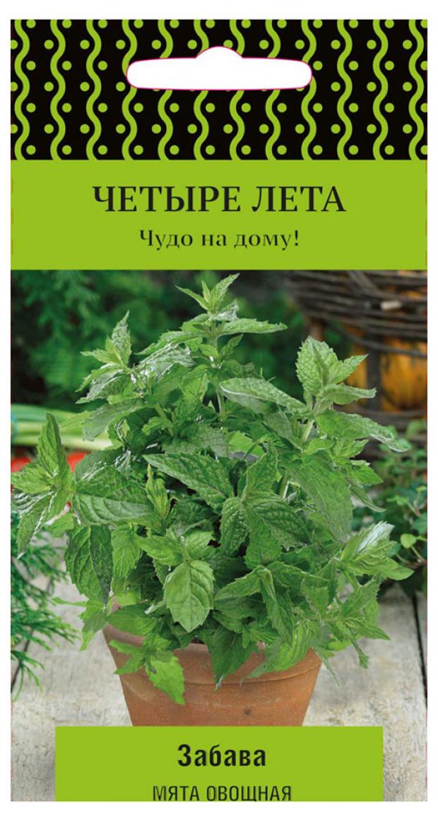 Купить Семена Мяты Шоколадной В Интернет Магазине