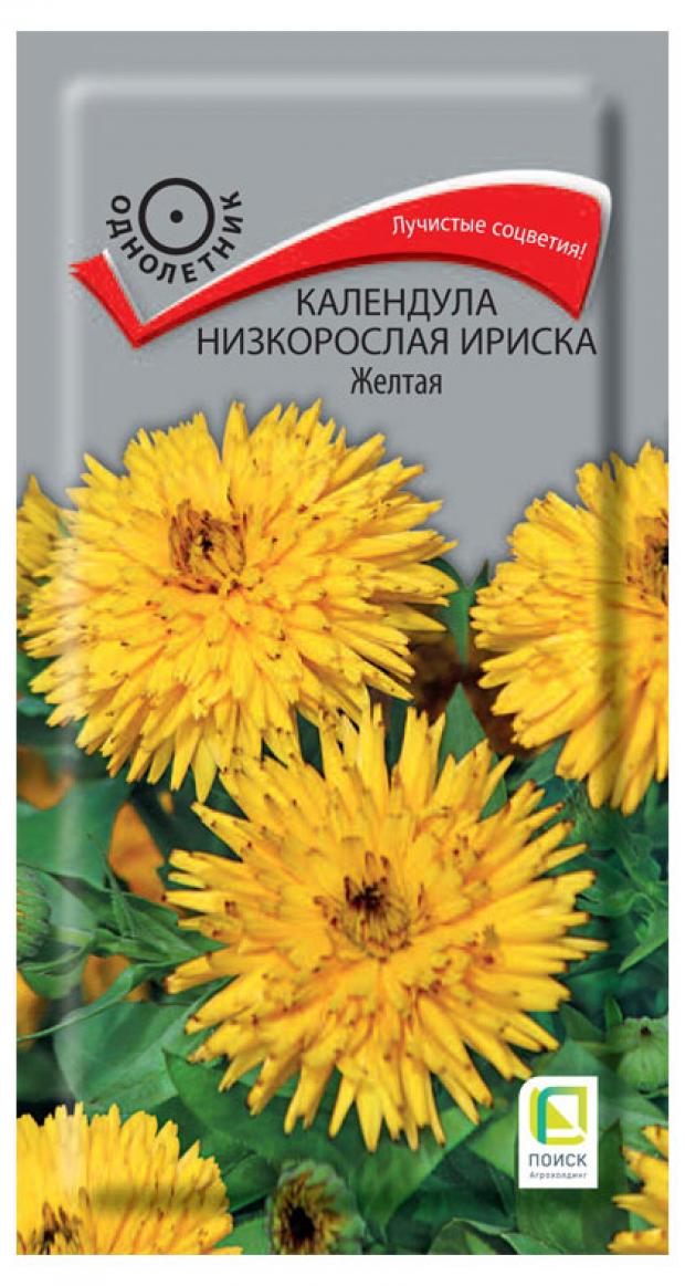 

Семена Календула низкорослая «Поиск» Ириска желтая, 10 шт