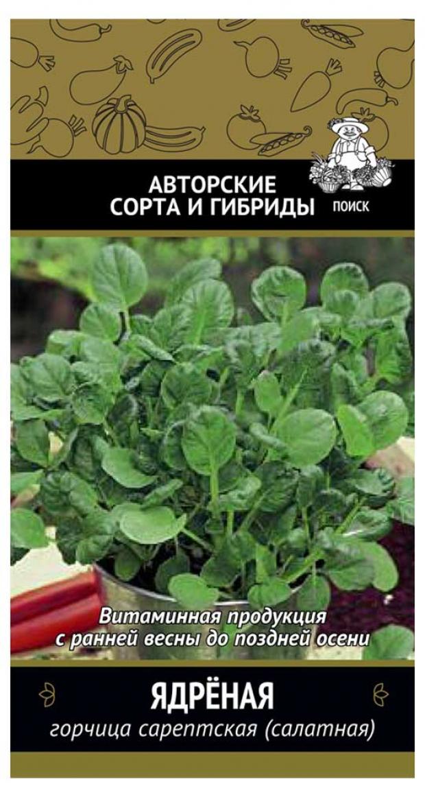 горчица ежк русская ядреная жгучая 130г туба Семена Горчица Поиск Ядреная, 1 г