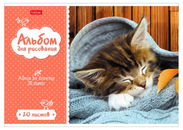 

Альбом для рисования Hatber Зоомагия на скобе А4, 20 л