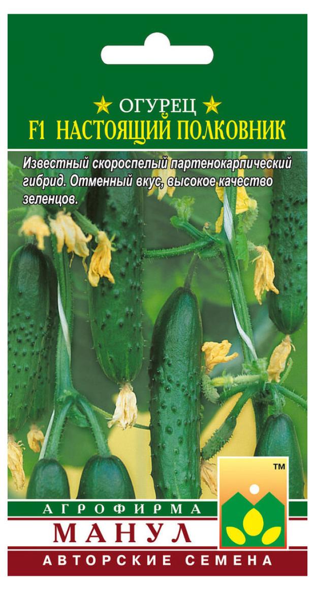

Семена Манул Огурец Настоящий Полковник