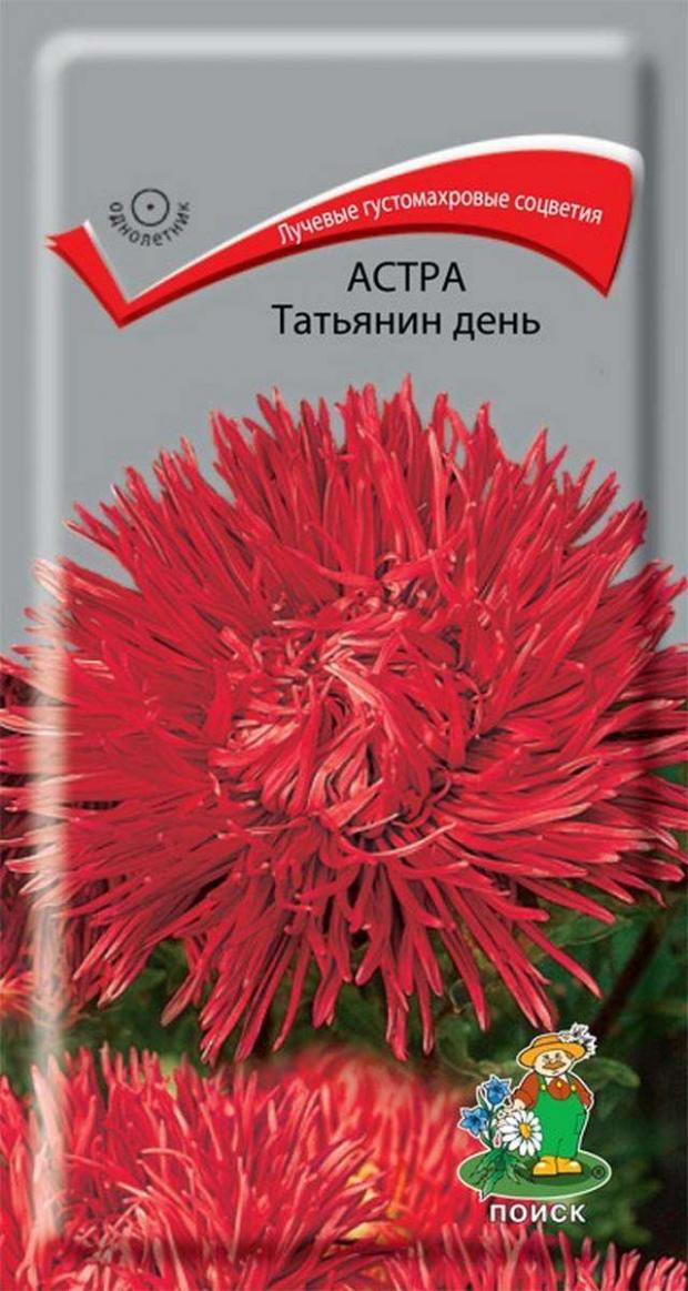

Семена Астра Поиск Татьянин День, 0.3 г