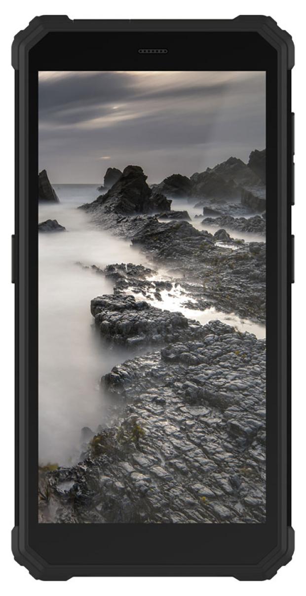 

Смартфон IIIF150 H2022 (4+32) Black Swan