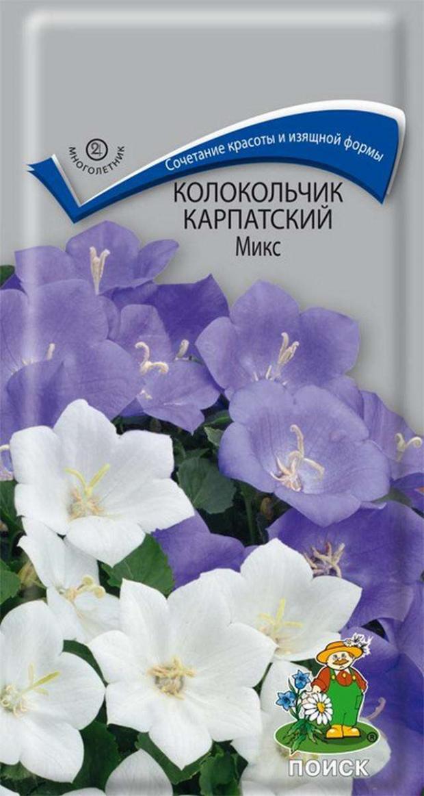 Где Купить Семена Кампанулы