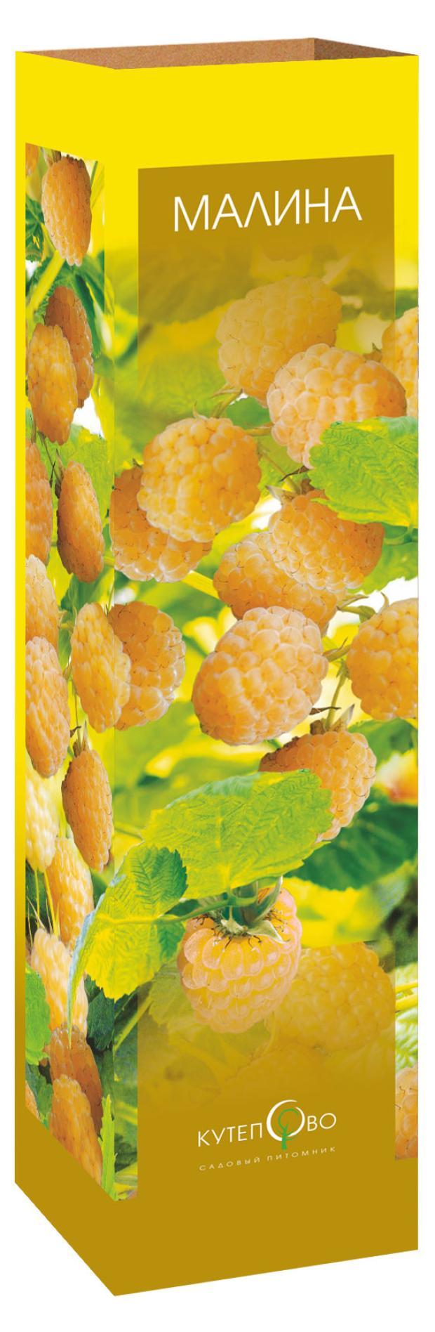 

Саженцы Малина золотые купола