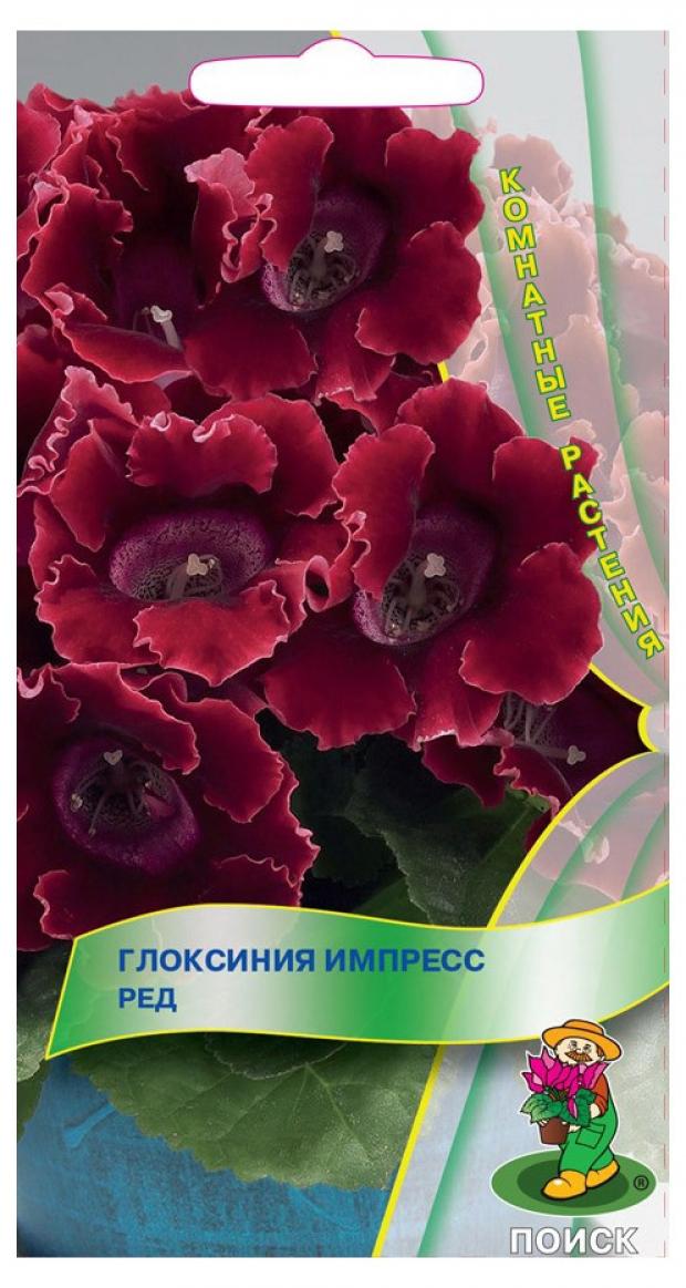 

Семена Глоксиния Поиск Импресс ред, 5 шт