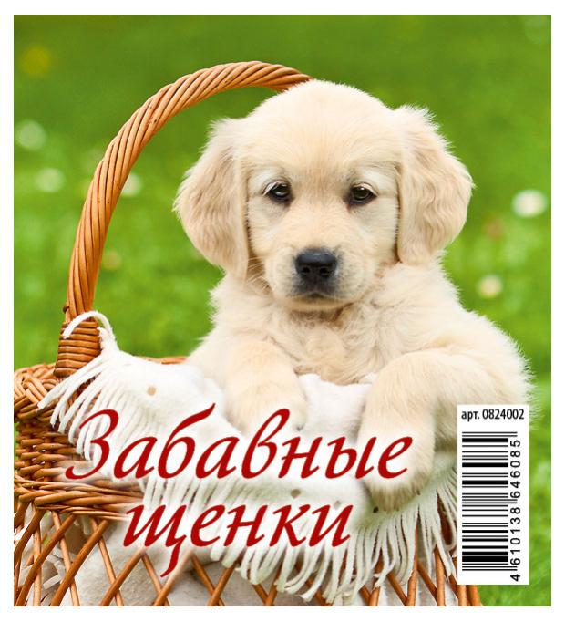 

Календарь настольный перекидной Домик Забавные щенки на гребне на 2024 г, 100х140 мм
