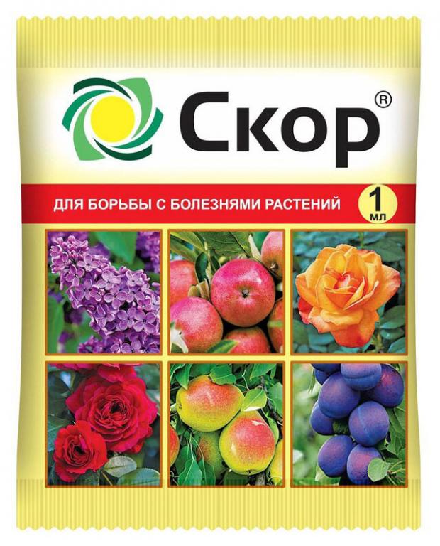 

Средство защитное от болезней «Ваше хозяйство» Фунгицид Скор, 1 мл