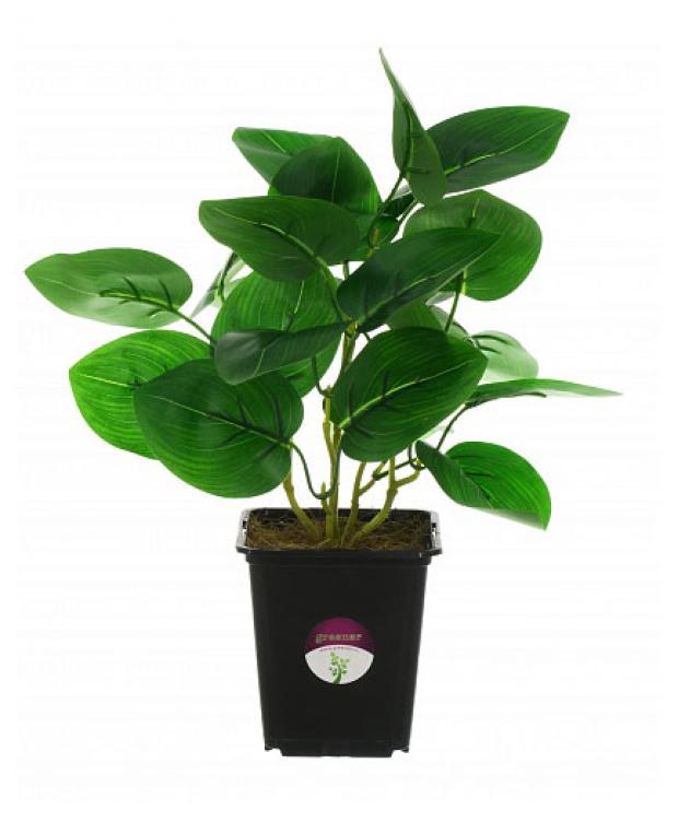 

Растение искусственное Greener Традесканция, 30 см