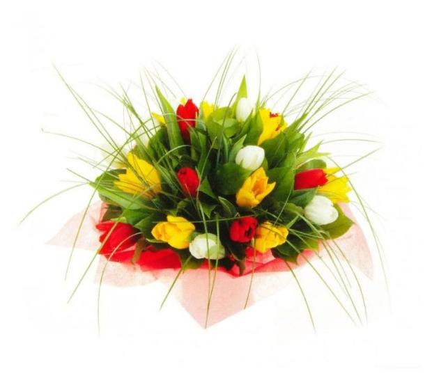 

Букет тюльпанов ЕИС Логистик с берграсом, 11 шт