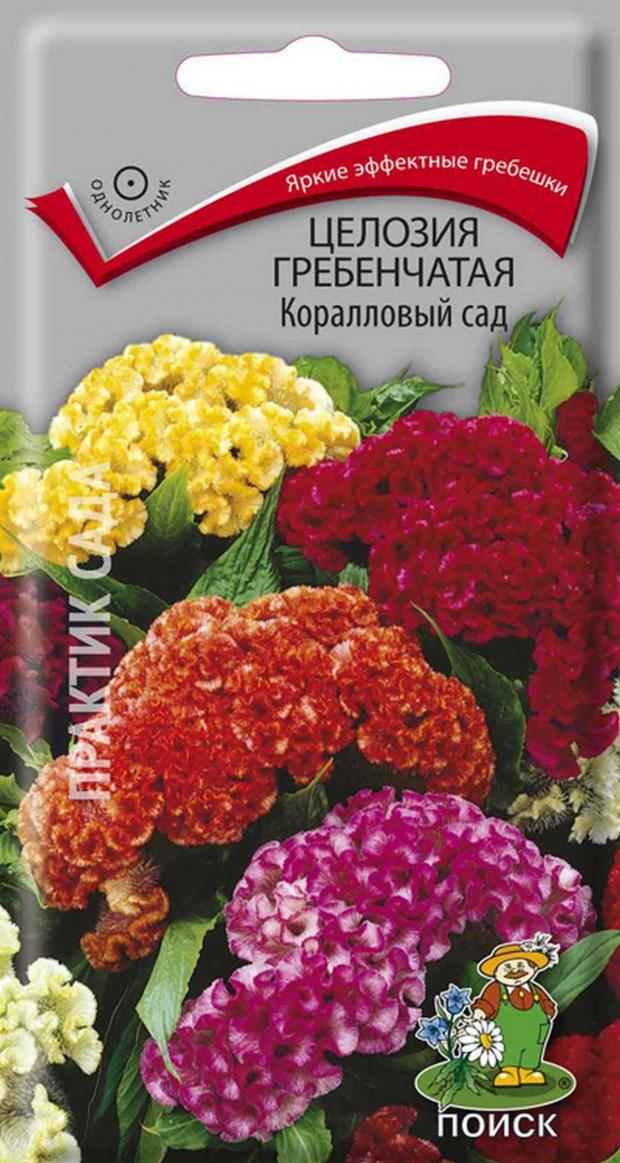 

Семена Целозия «Поиск» Коралловый сад, 0,1 г
