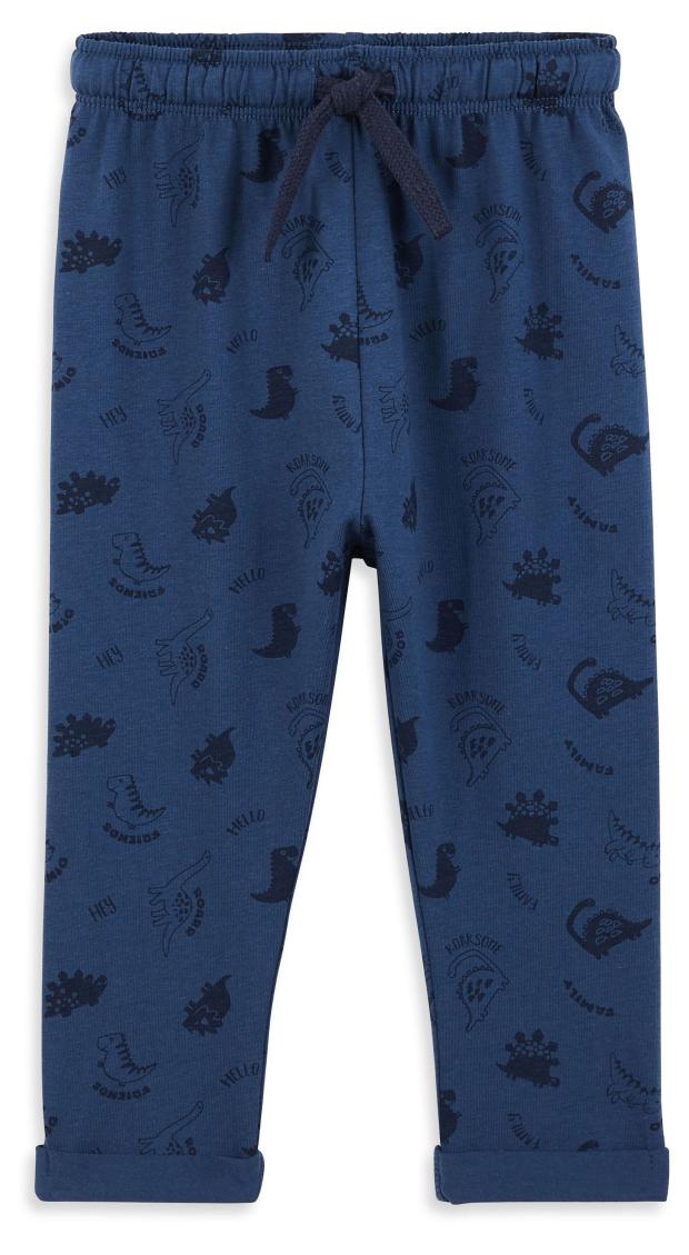 

Брюки для мальчика InExtenso Динозавры синие