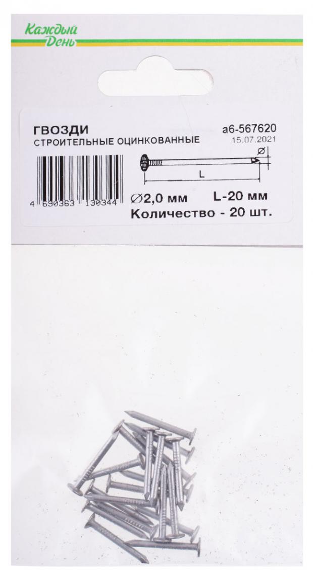 Гвозди Каждый день строительные, 2x20 оцинкованный, 20 шт