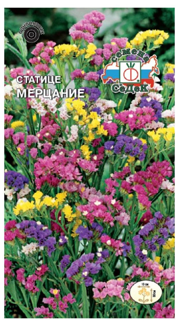 

Семена СеДеК СтатицеМерцание