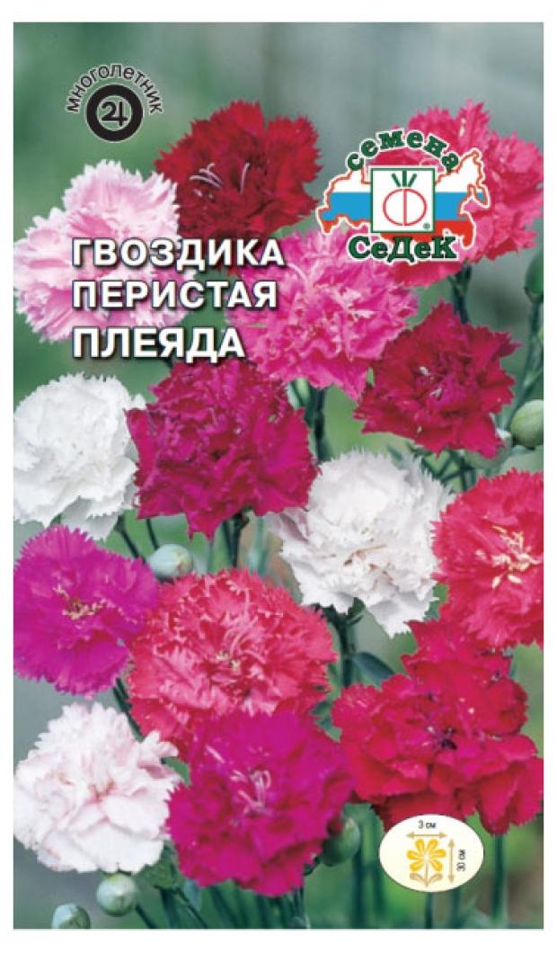 Гвоздика СеДеК Плеяда перистая, 0,5 г цветы гвоздика русский огород перистая махровый ковер