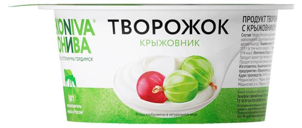 Творожок Эконива крыжовник 5% БЗМЖ, 125 г