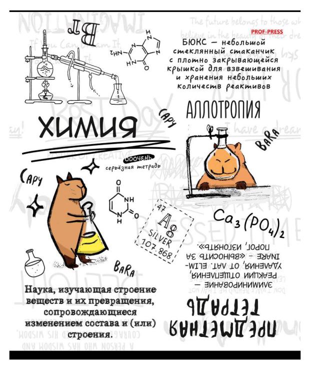 

Тетрадь предметная Prof-Press Капибара Химия в клетку А5, 48 л