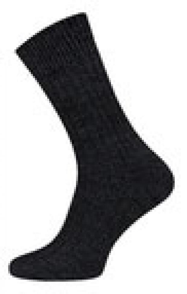 Носки мужские Брестские Arctic черные, р.25