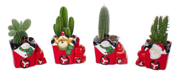 

Кактус в новогоднем кашпо, d 6,5 h 40 см