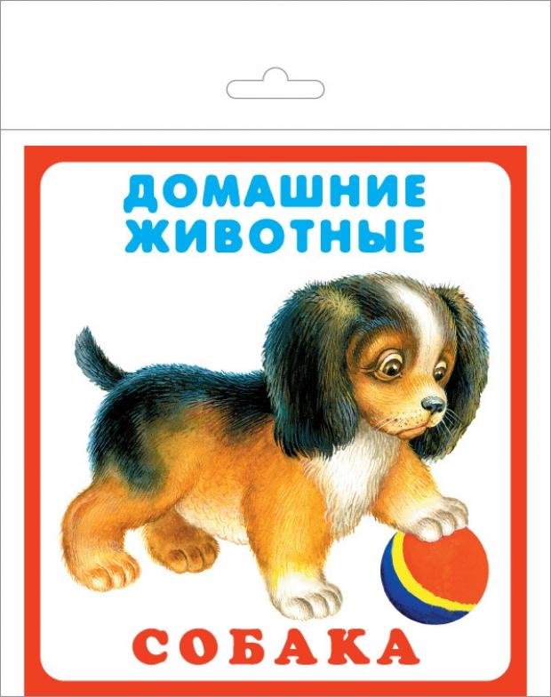 

Набор карточек, Домашние животные