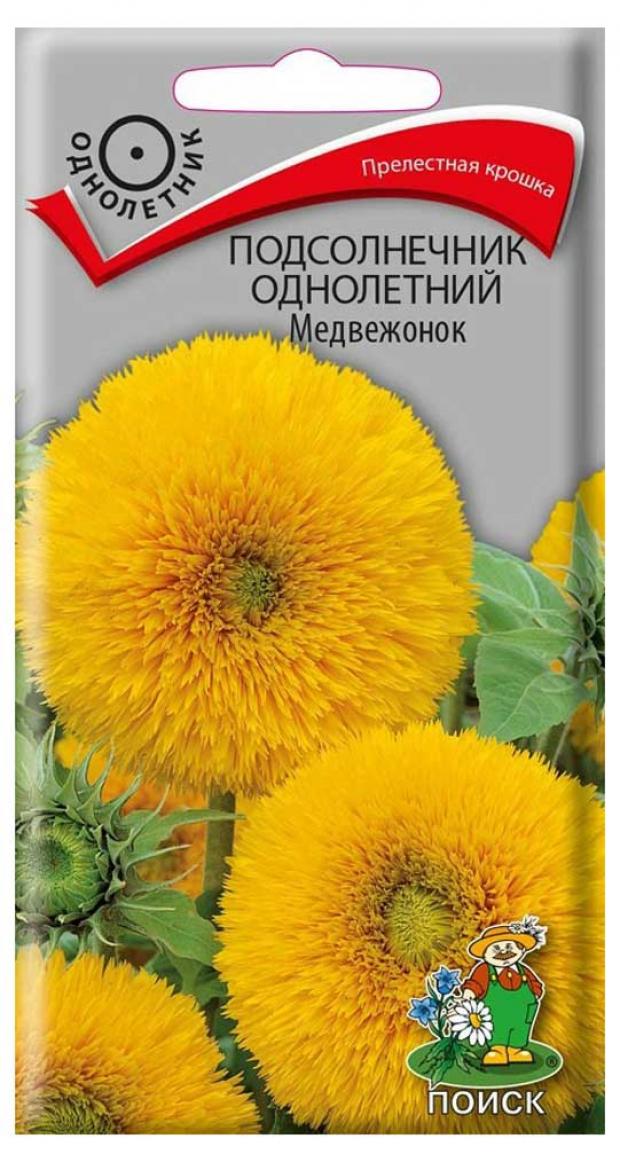 Подсолнечник Декоративный Семена Купить