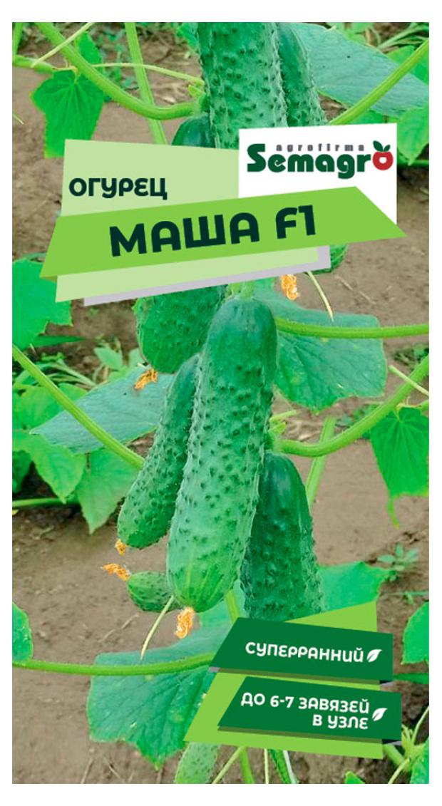

Семена Seminis Огурец Маша F1, 5 шт