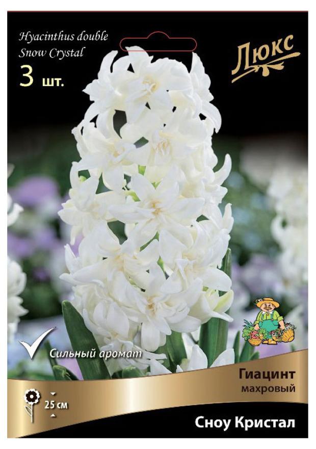 

Гиацинт Поиск Махровый Сноу Кристал, 3 шт