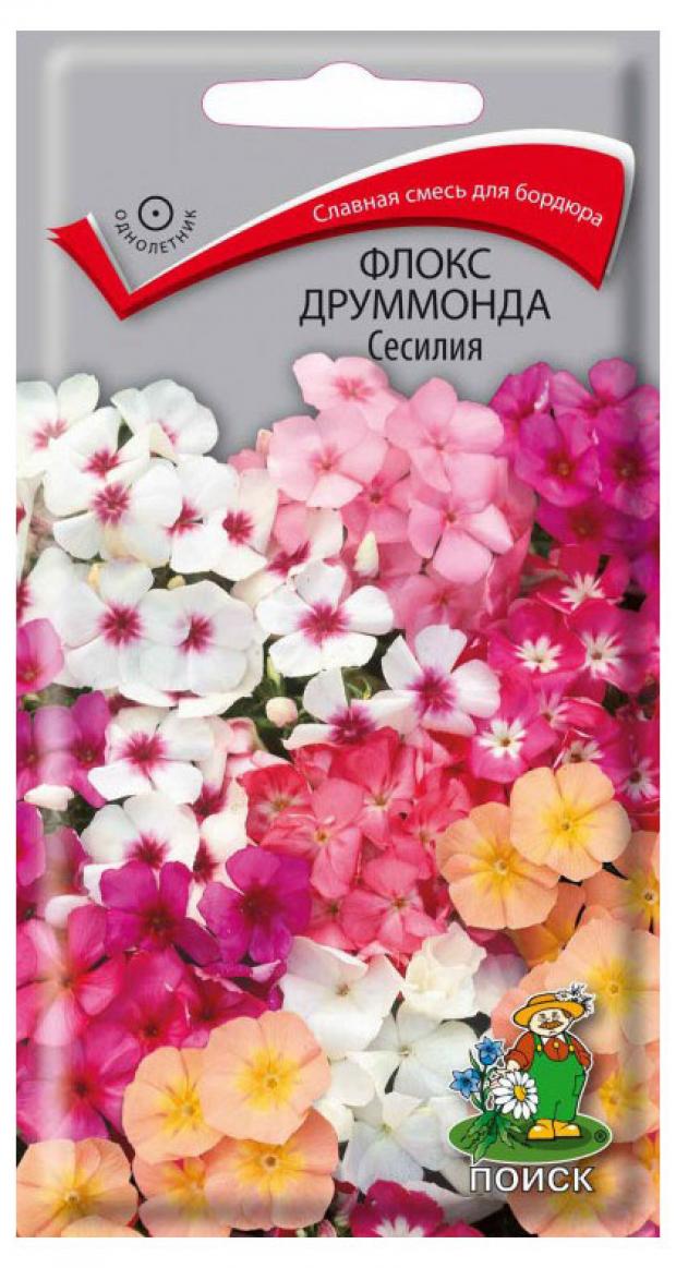 

Семена Флокс друммонда Поиск Сесилия, 3 г