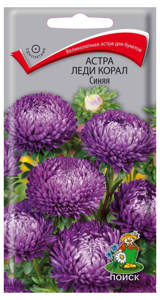

Семена Астра «Поиск» Леди корал синяя, 0,1 г