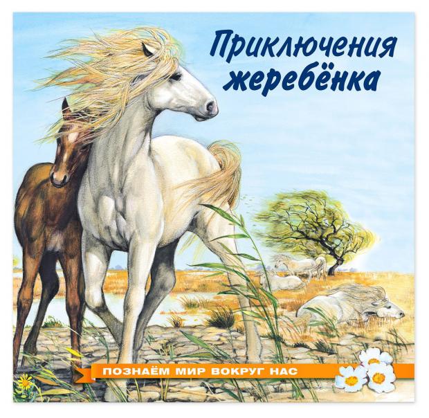 

Познаем мир вокруг нас. Приключения жеребёнка,