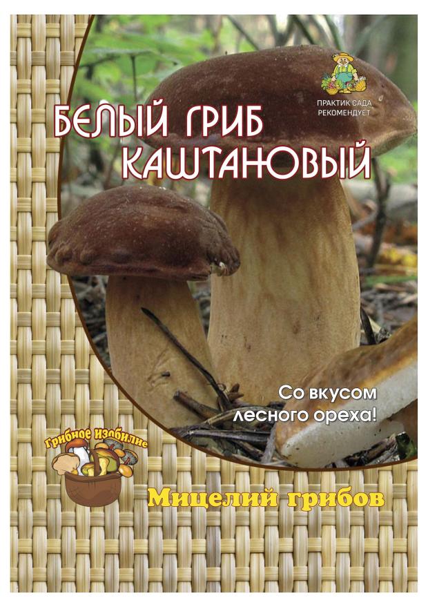 

Мицелий грибов Поиск Белый гриб Каштановый, 60 мл