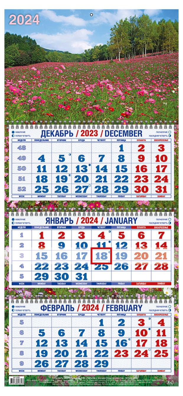 

Календарь настенный Дитон трехблочный квартальный с курсором, на трех гребнях, 310х680 мм