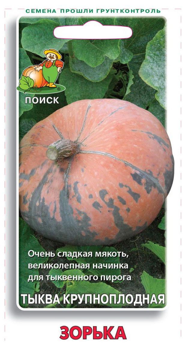 

Семена Тыква Поиск Зорька, 10 шт