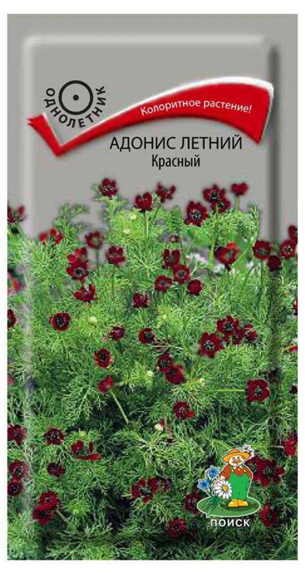 Семена Адонис Поиск Летний ркасный, 0,3 г семена цветов адонис летний красный 0 1 г