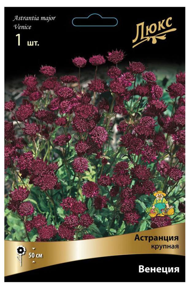Луковичные цветы Поиск Многолетник люкс микс, 1 шт