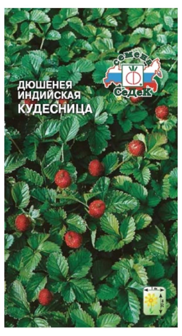 

Семена СеДеК ЗемляникаДюшинеяКудесница индийская декоративная, 0,04 г