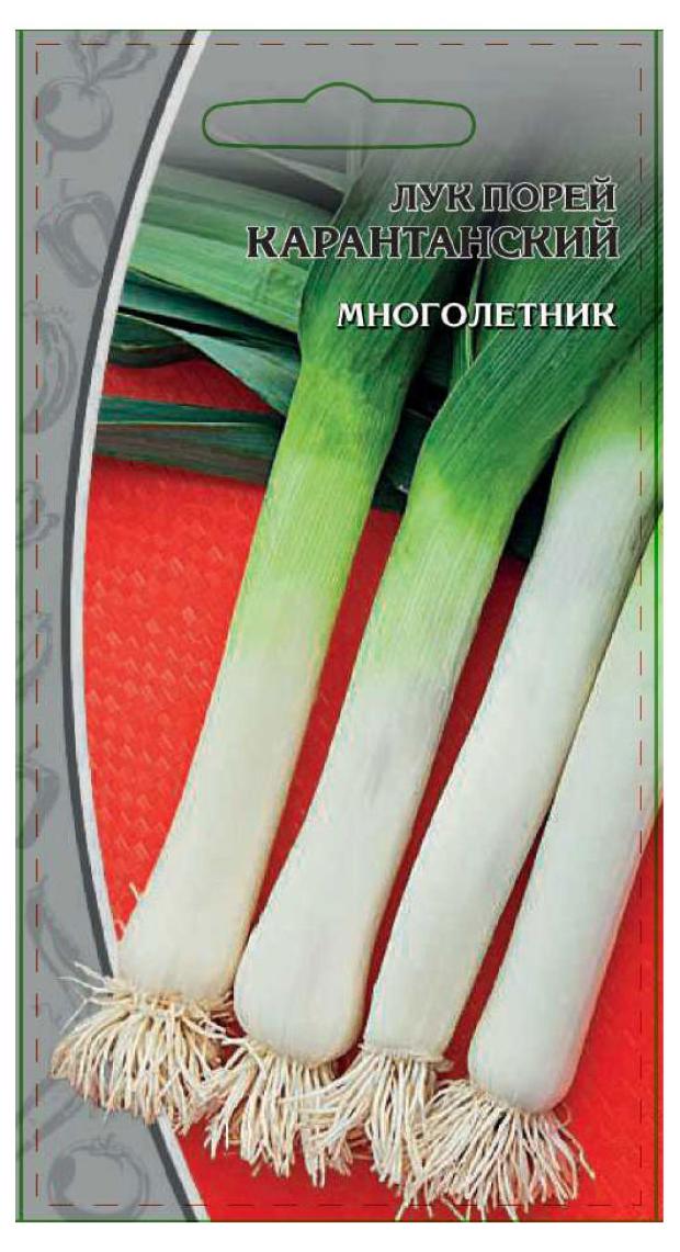 Семена Ваше хозяйство Лук Карантанский порей, 0,5 г лук порей русский огород карантанский 1 г