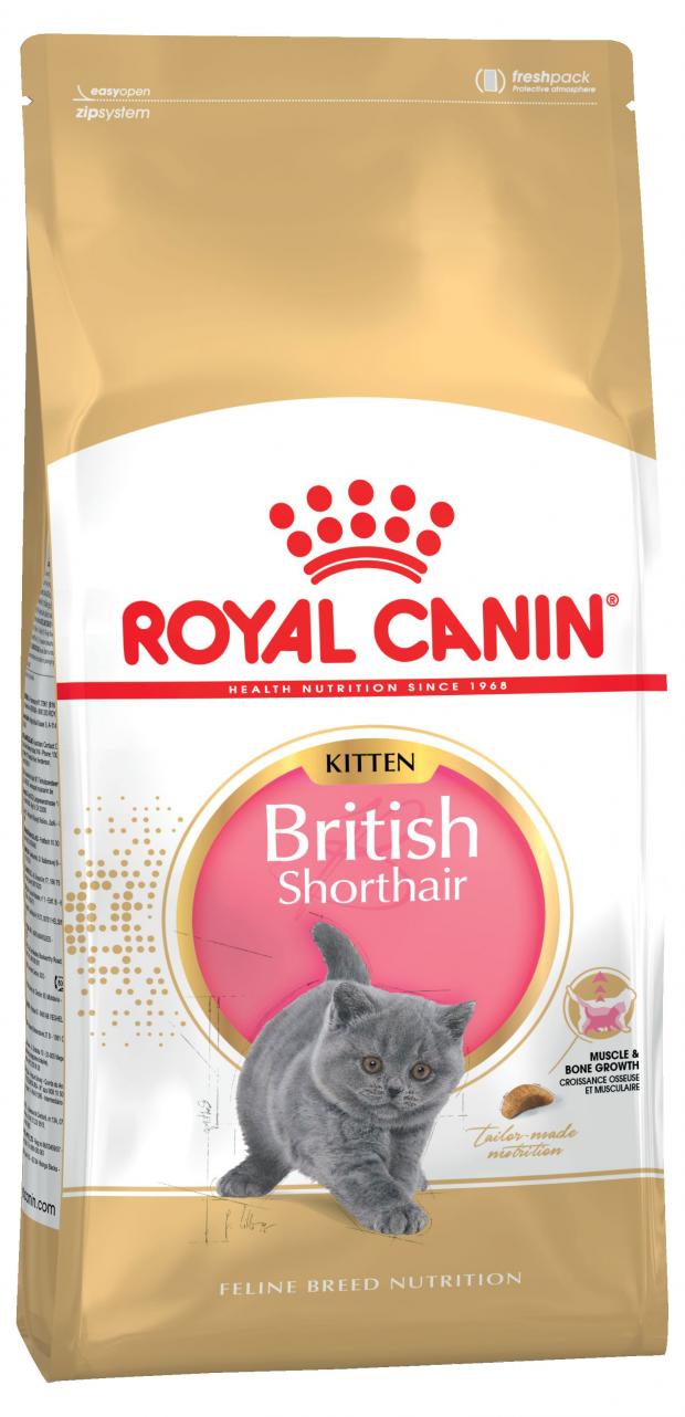 Сухой Сухой корм для котят Royal Canin British Shorthair Kitten, 400 г karmy british shorthair adult полнорационный сухой корм для кошек породы британская короткошерстная с индейкой 400 г