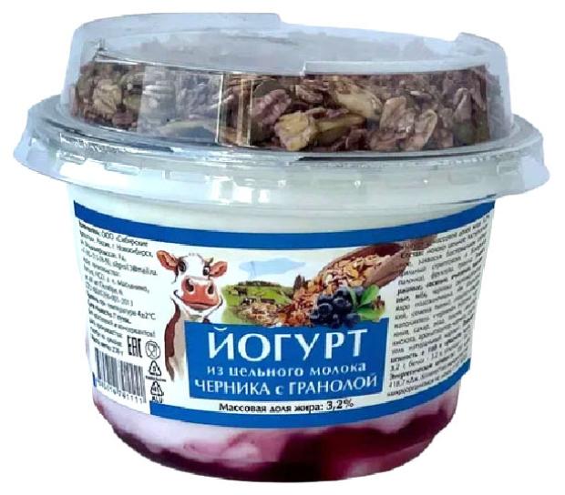 Йогурт Сибирские продукты черника с гранолой 3,2% БЗМЖ, 230 г