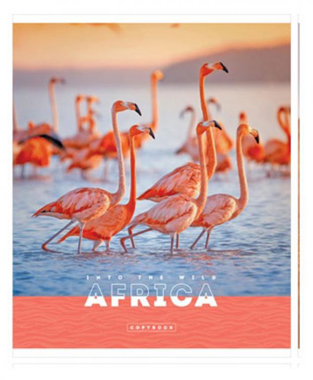 

Тетрадь ArtSpace Животные Nature of Africa в клетку А5, 96 л