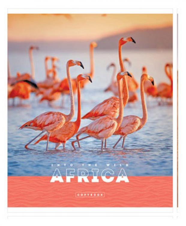 Тетрадь ArtSpace Животные Nature of Africa в клетку А5, 96 л