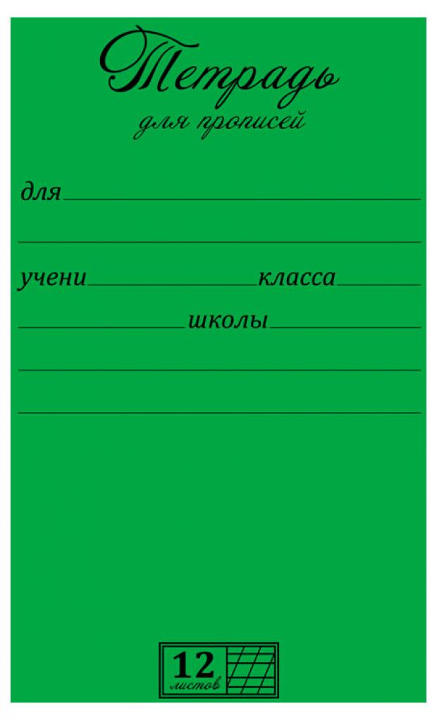 Тетрадь для прописей ПЗМБ в частую косую линейку А5, 12 л тетрадь для прописей 12л частая косая линия маяк 1 шт