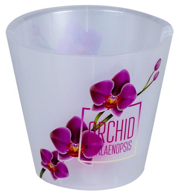 

Горшок InGreen Фиджи Орхид Деко розовая орхидея 20 см, 4 л